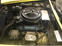 1977 Chevrolet Corvette (CC-2110144) for sale in Cadillac, Michigan