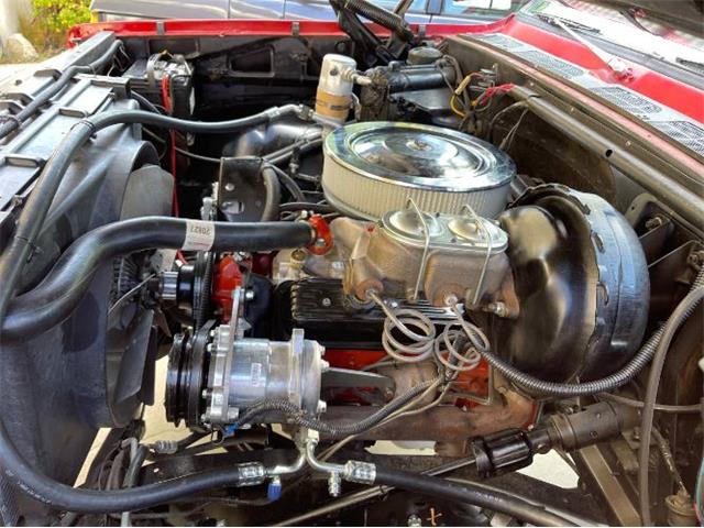 1973 Chevrolet Custom (CC-2111456) for sale in Cadillac, Michigan