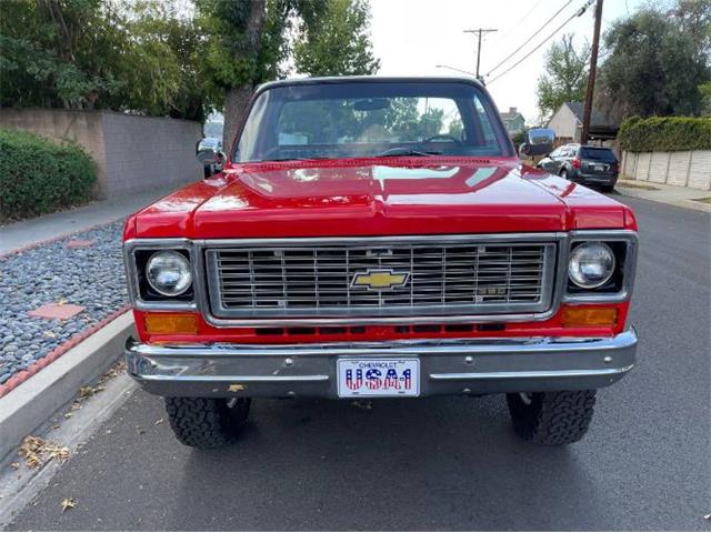 1973 Chevrolet Custom (CC-2111456) for sale in Cadillac, Michigan