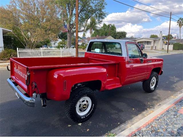 1973 Chevrolet Custom (CC-2111456) for sale in Cadillac, Michigan