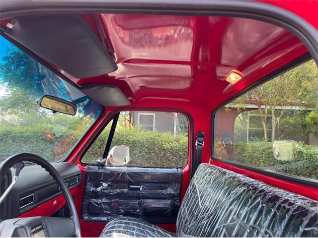 1973 Chevrolet Custom (CC-2111456) for sale in Cadillac, Michigan