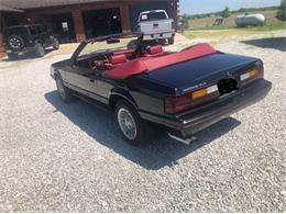 1983 Ford Mustang (CC-2111466) for sale in Cadillac, Michigan