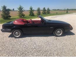 1983 Ford Mustang (CC-2111466) for sale in Cadillac, Michigan