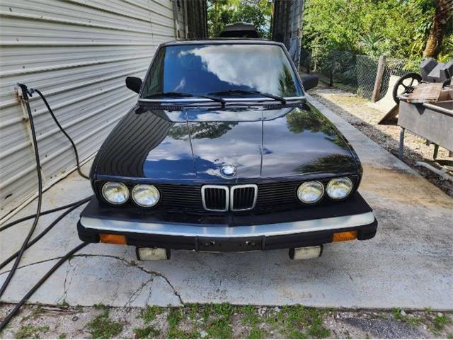1984 BMW 528e (CC-2111472) for sale in Cadillac, Michigan