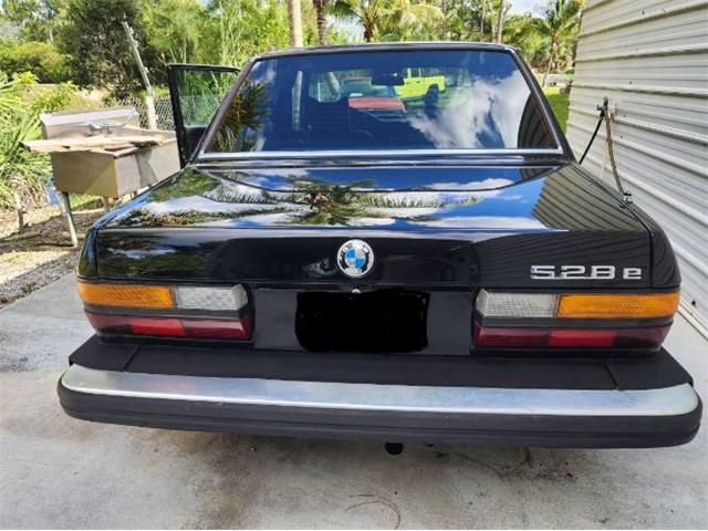 1984 BMW 528e (CC-2111472) for sale in Cadillac, Michigan