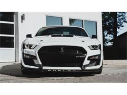 2020 Shelby Mustang (CC-2111475) for sale in Cadillac, Michigan