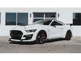 2020 Shelby Mustang (CC-2111475) for sale in Cadillac, Michigan