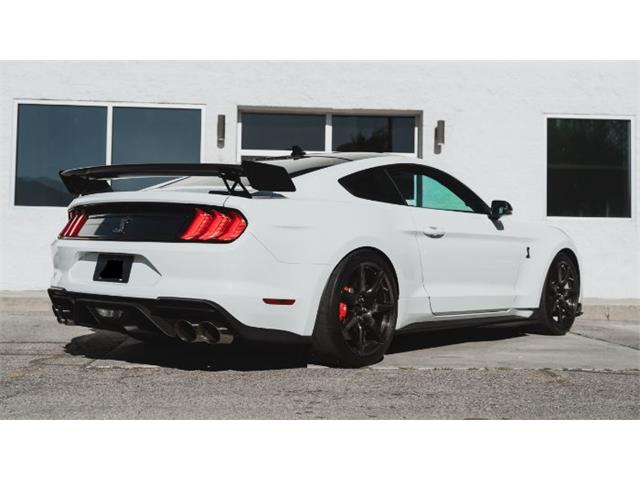 2020 Shelby Mustang (CC-2111475) for sale in Cadillac, Michigan