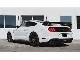 2020 Shelby Mustang (CC-2111475) for sale in Cadillac, Michigan