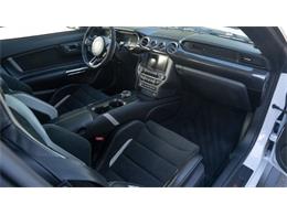 2020 Shelby Mustang (CC-2111475) for sale in Cadillac, Michigan