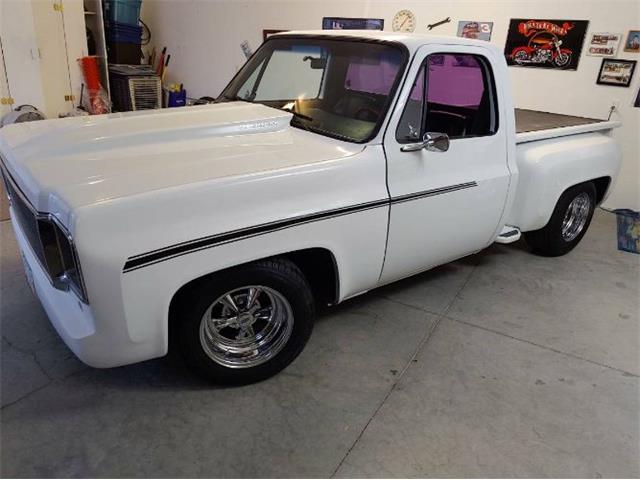 1978 GMC Panel Truck (CC-2111479) for sale in Cadillac, Michigan