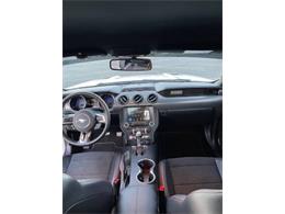 2017 Ford Mustang (CC-2110148) for sale in Cadillac, Michigan