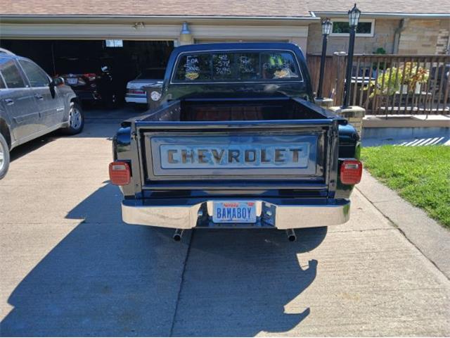 1977 Chevrolet C10 (CC-2111483) for sale in Cadillac, Michigan