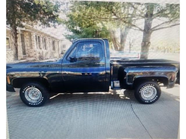 1977 Chevrolet C10 (CC-2111483) for sale in Cadillac, Michigan