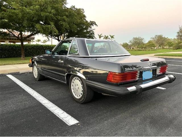 1988 Mercedes-Benz 560 (CC-2111489) for sale in Cadillac, Michigan