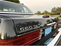 1988 Mercedes-Benz 560 (CC-2111489) for sale in Cadillac, Michigan