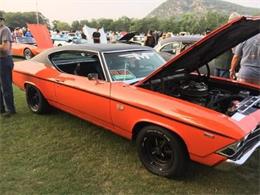 1969 Chevrolet Chevelle (CC-2111522) for sale in Cadillac, Michigan