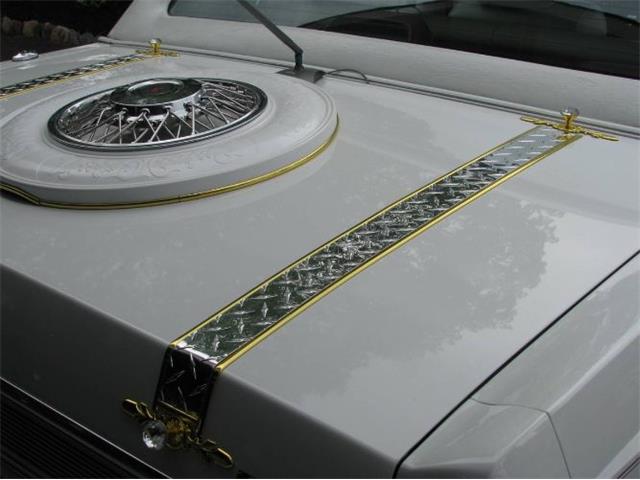 1989 Lincoln Custom (CC-2111528) for sale in Cadillac, Michigan