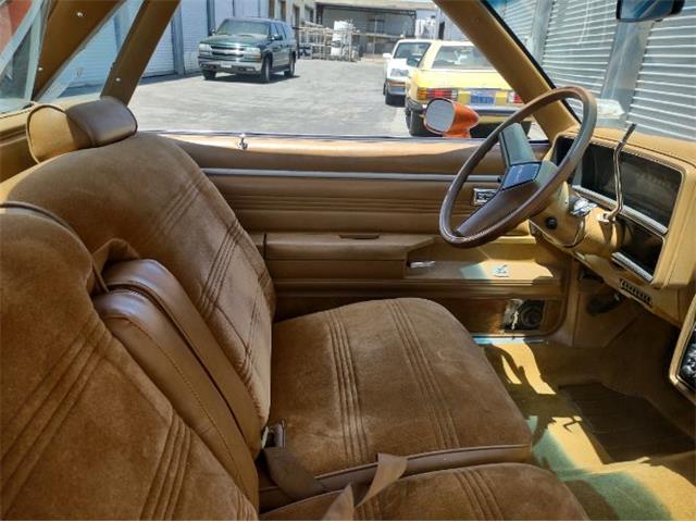 1979 GMC Caballero (CC-2111536) for sale in Cadillac, Michigan