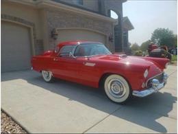 1956 Ford Thunderbird (CC-2111539) for sale in Cadillac, Michigan