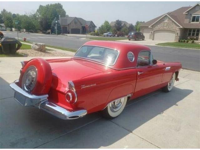 1956 Ford Thunderbird (CC-2111539) for sale in Cadillac, Michigan