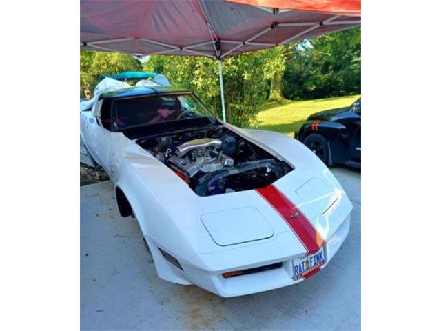 1982 Chevrolet Corvette (CC-2111544) for sale in Cadillac, Michigan