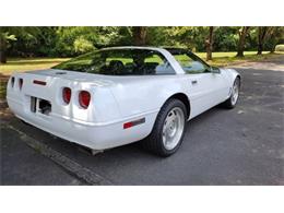 1996 Chevrolet Corvette (CC-2111551) for sale in Cadillac, Michigan