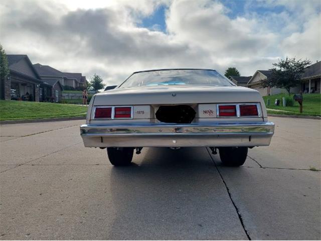 1978 Chevrolet Nova (CC-2111555) for sale in Cadillac, Michigan