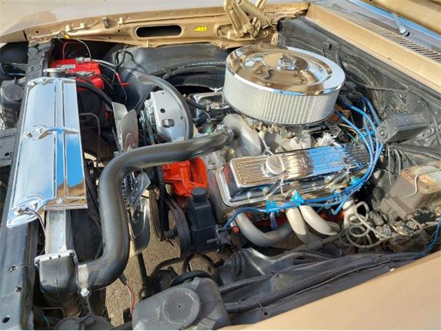 1978 Chevrolet Nova (CC-2111555) for sale in Cadillac, Michigan