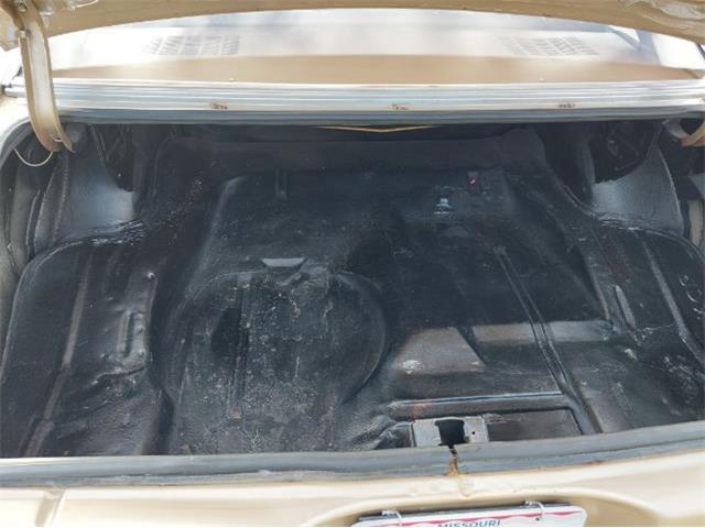 1978 Chevrolet Nova (CC-2111555) for sale in Cadillac, Michigan