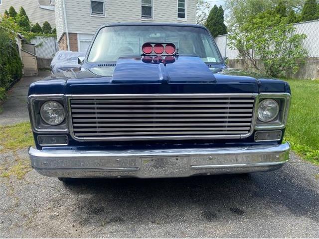 1979 Chevrolet C10 (CC-2111562) for sale in Cadillac, Michigan