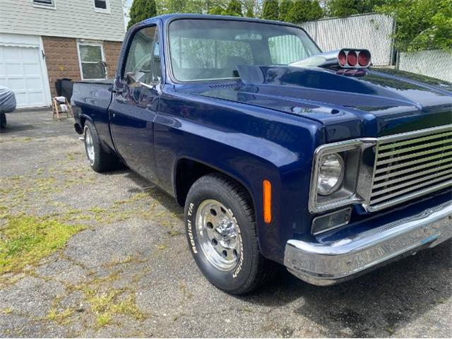 1979 Chevrolet C10 (CC-2111562) for sale in Cadillac, Michigan