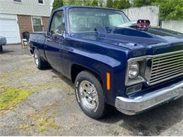 1979 Chevrolet C10 (CC-2111562) for sale in Cadillac, Michigan