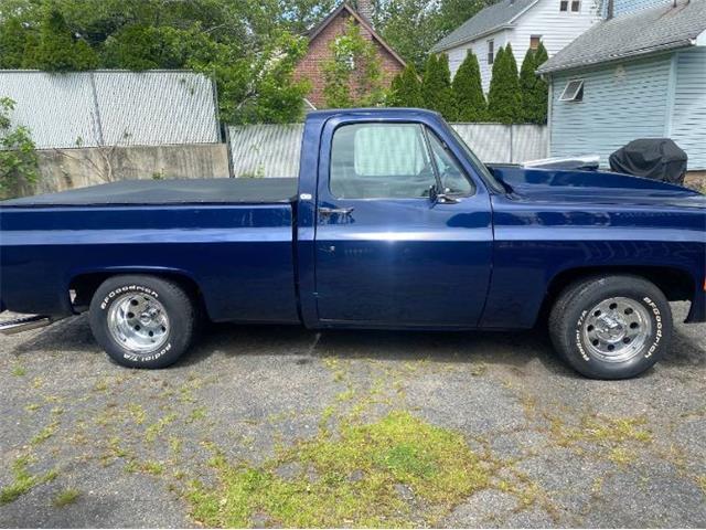 1979 Chevrolet C10 (CC-2111562) for sale in Cadillac, Michigan