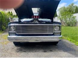 1979 Chevrolet C10 (CC-2111562) for sale in Cadillac, Michigan