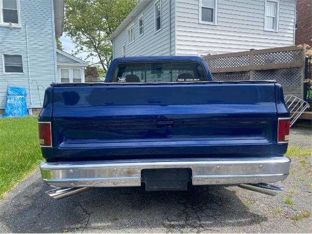 1979 Chevrolet C10 (CC-2111562) for sale in Cadillac, Michigan