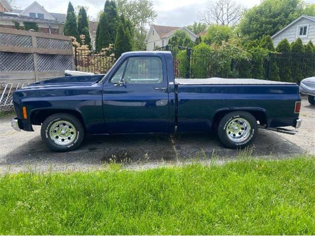 1979 Chevrolet C10 (CC-2111562) for sale in Cadillac, Michigan