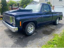 1979 Chevrolet C10 (CC-2111562) for sale in Cadillac, Michigan