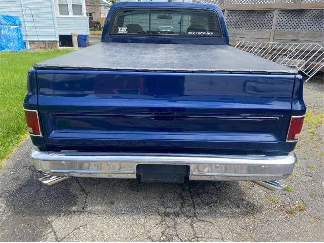 1979 Chevrolet C10 (CC-2111562) for sale in Cadillac, Michigan