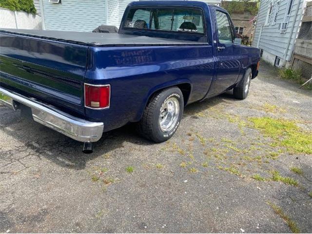 1979 Chevrolet C10 (CC-2111562) for sale in Cadillac, Michigan