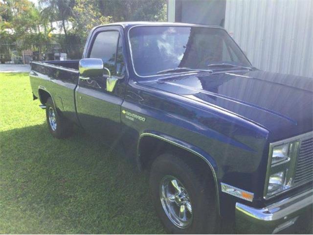 1982 Chevrolet 1500 (CC-2111570) for sale in Cadillac, Michigan
