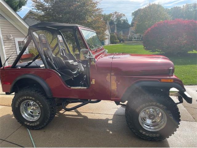 1979 Jeep CJ5 (CC-2110158) for sale in Cadillac, Michigan