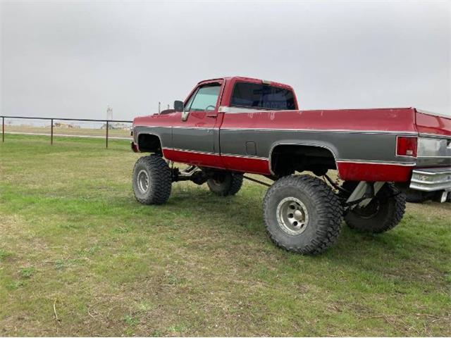 1979 Chevrolet Silverado (CC-2110159) for sale in Cadillac, Michigan