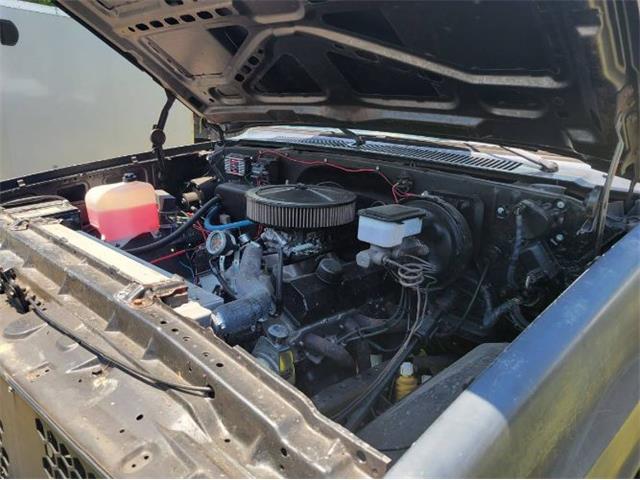 1985 Chevrolet Pickup (CC-2111592) for sale in Cadillac, Michigan