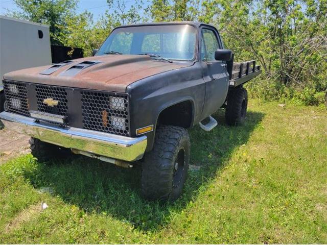 1985 Chevrolet Pickup (CC-2111592) for sale in Cadillac, Michigan