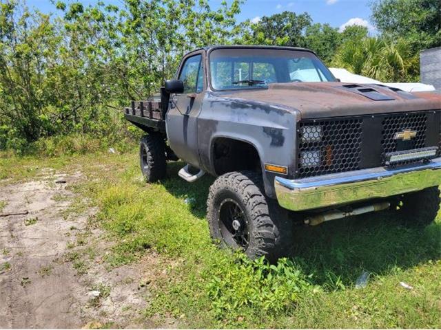 1985 Chevrolet Pickup (CC-2111592) for sale in Cadillac, Michigan