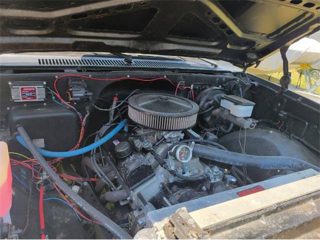 1985 Chevrolet Pickup (CC-2111592) for sale in Cadillac, Michigan