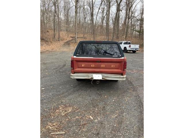 1980 Ford F100 (CC-2111596) for sale in Cadillac, Michigan