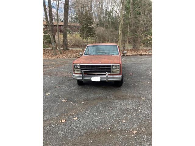 1980 Ford F100 (CC-2111596) for sale in Cadillac, Michigan