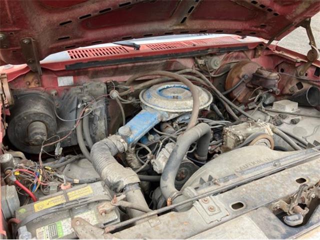 1980 Ford F100 (CC-2111596) for sale in Cadillac, Michigan